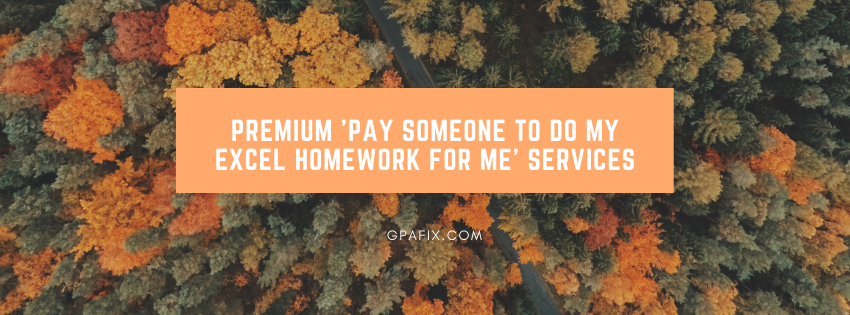 Premium 'Pay Someone to Do my Excel Homework For Me' Services